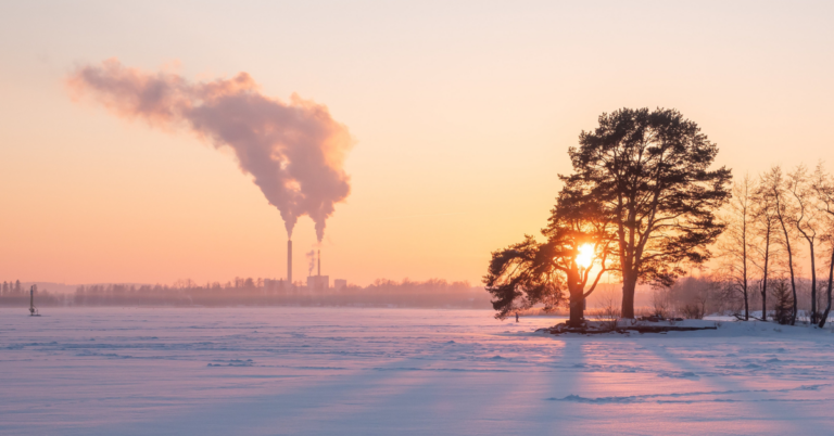 trees in forground with sunset, factories and emissions in background